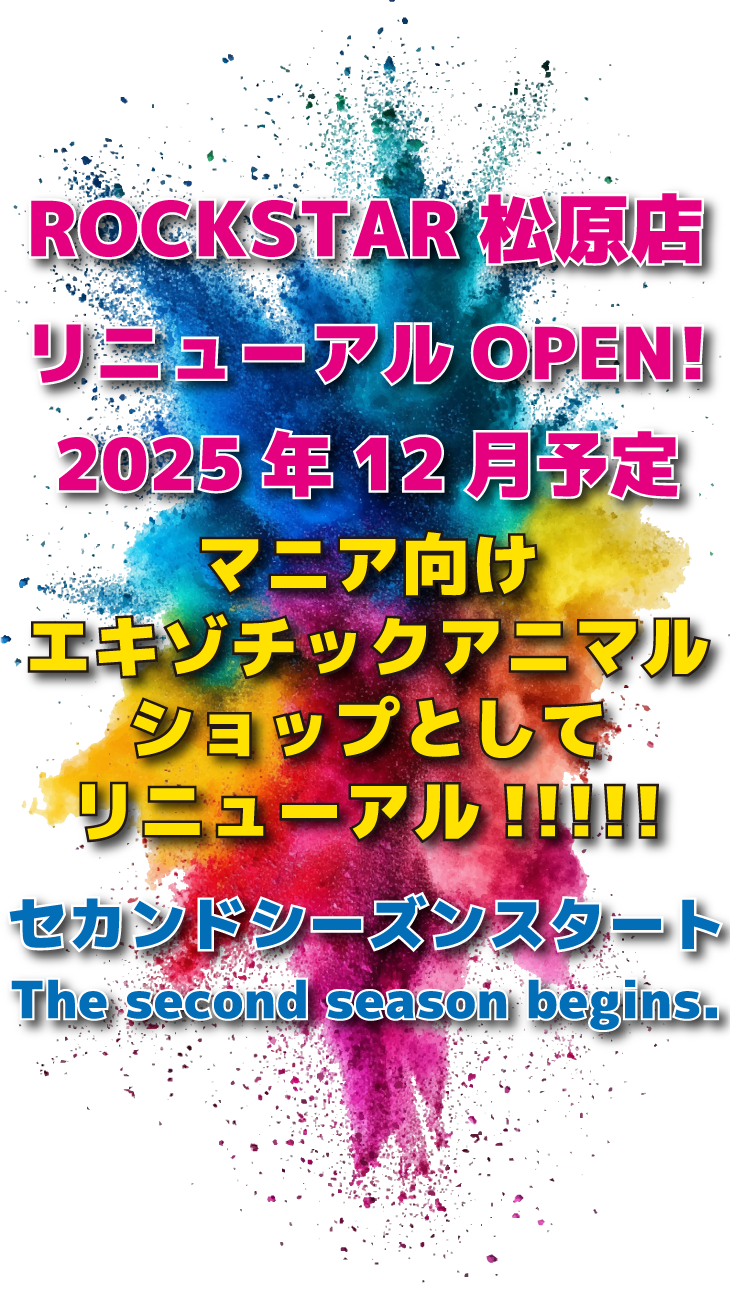 リニューアルOPEN