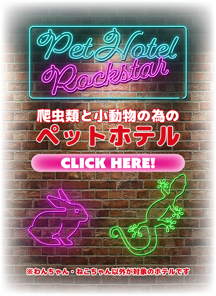 ペットホテル始めました