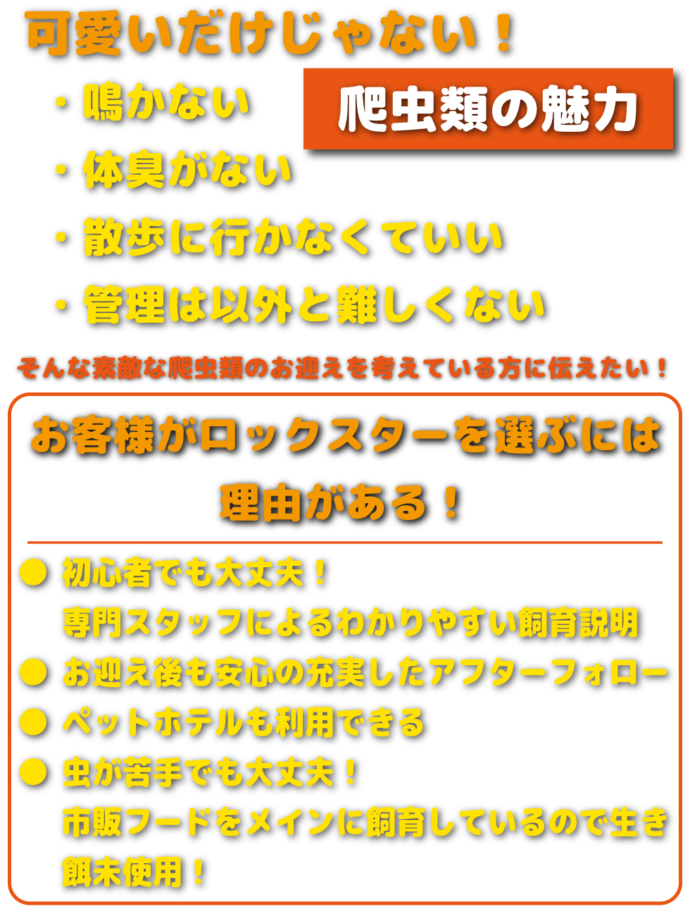 爬虫類は飼いやすい